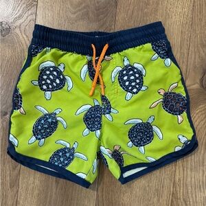Hatley 4T swim shirts, turtles
